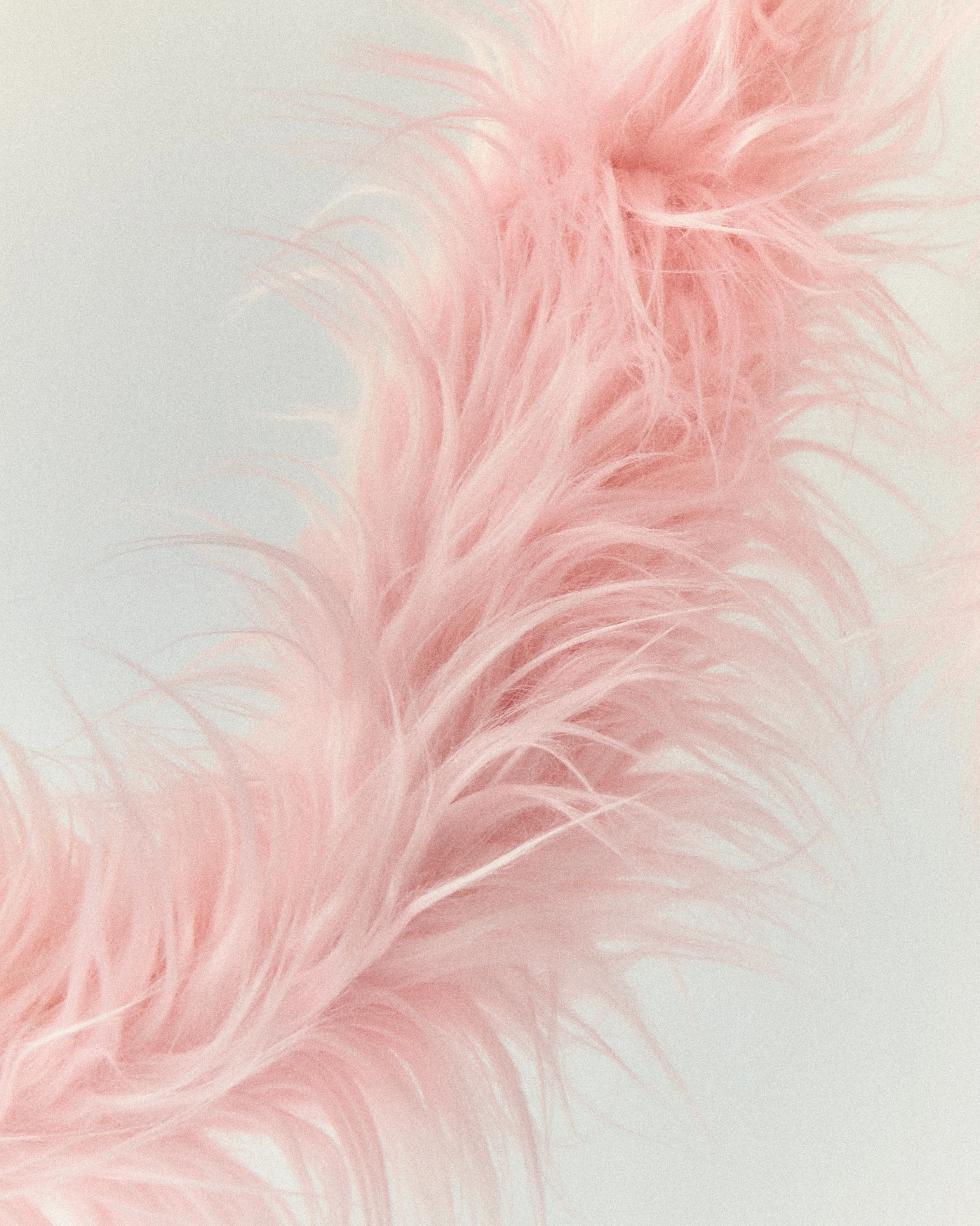 FURRY - Bubble Gum - Image 5