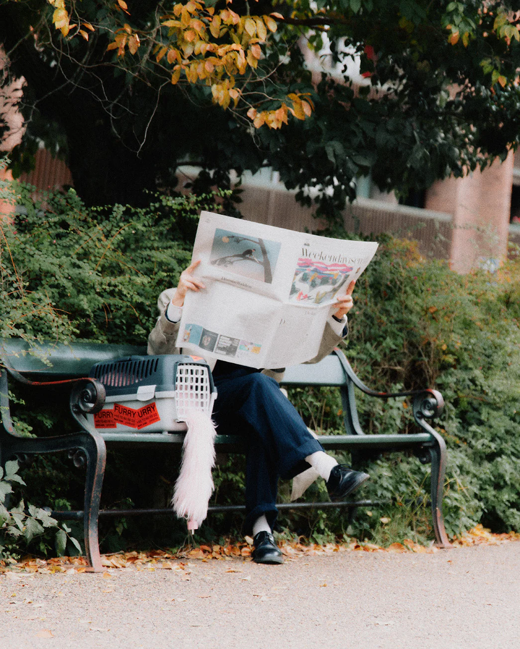 FURRY - Bubble Gum - Image 6