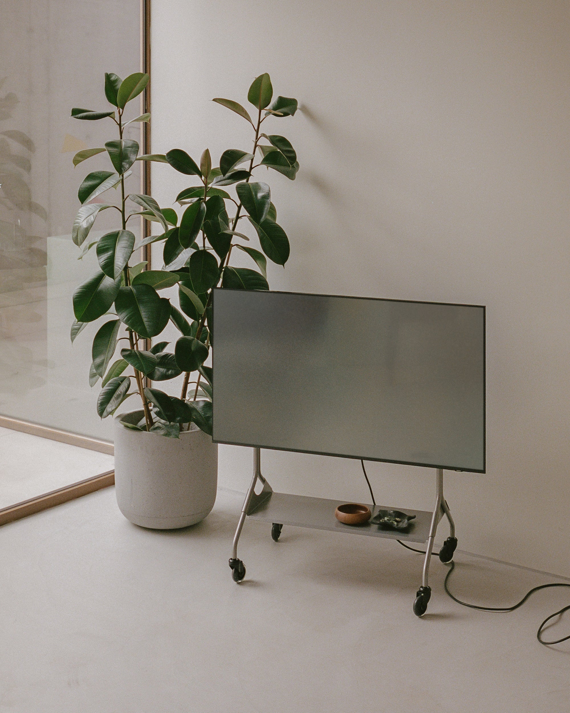 Moon RAW - Raw - Image 8